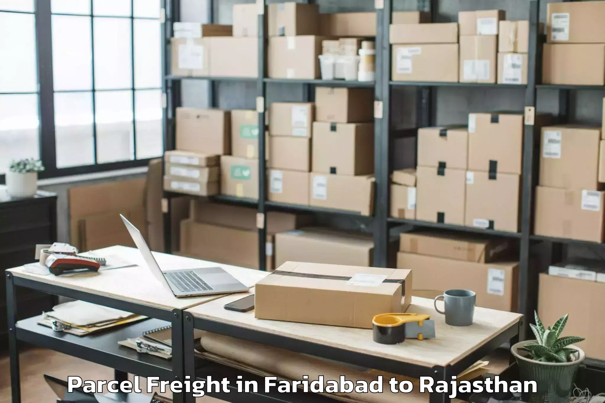 Professional Faridabad to Pratap University Jaipur Parcel Freight